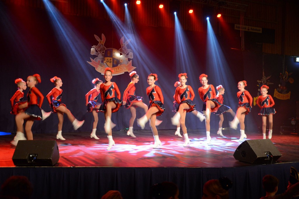 ../Images/Dansmarieke festival 2015 138.jpg